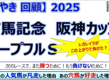 【ぼやき回顧】有馬記念＆ホープフルステークス＆阪神カップ＜2025＞