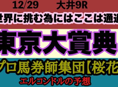 エルコンドル氏の東京大賞典2025予想！！有馬記念が終わっても最後のビッグレースが残っている！ダート路線の締めを飾るビッグレース！結末やいかに！！