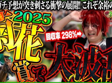 【菊花賞 2025】余裕が選ぶ本命馬はコレ!!大波乱からの的中なるか？【余裕のワイド #2】【競馬予想】