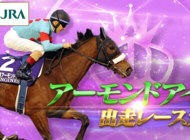 【出走レースまとめ】アーモンドアイ - 名馬の軌跡 - | JRA公式