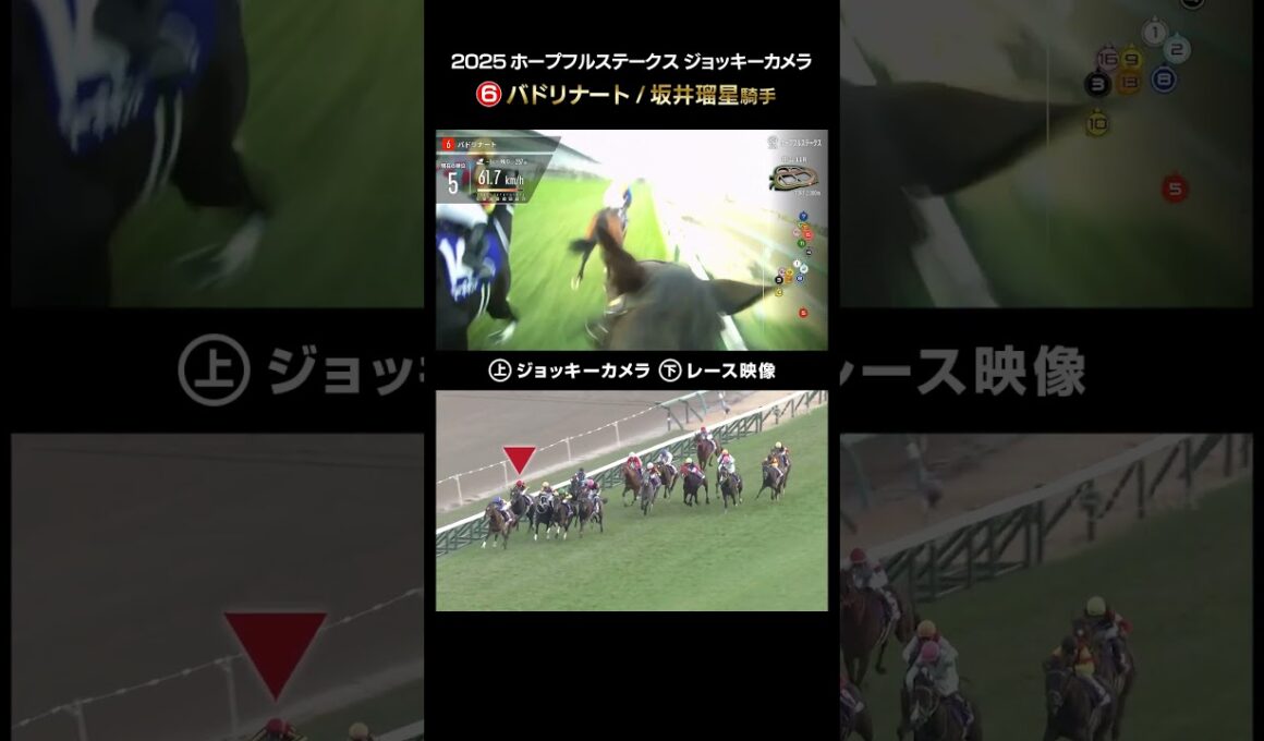 【ジョッキーカメラ×レース映像】2025年ホープフルステークス バドリナート 坂井 瑠星騎手 #shorts ｜JRA公式