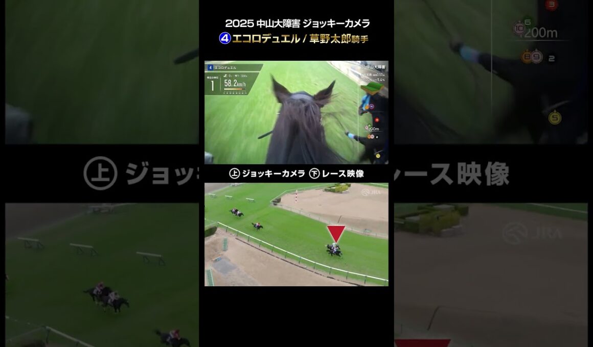 【ジョッキーカメラ×レース映像】2025年中山大障害 エコロデュエル 草野太郎騎手 #shorts ｜JRA公式