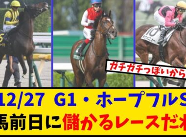 【ホープフルS】「有馬前日で目立ってないけど、これは儲かるレースだわwww」に対するみんなの反応【反応集】