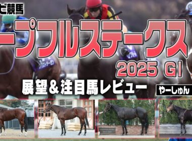 【競馬】ホープフルステークスの日程変更による影響&馬場状態は？例年よりもスピード型に好機あり！？ショウナンガルフ ジャスティンビスタ アンドゥーリル ラヴェニュー など【レース展望／スポナビ競馬】