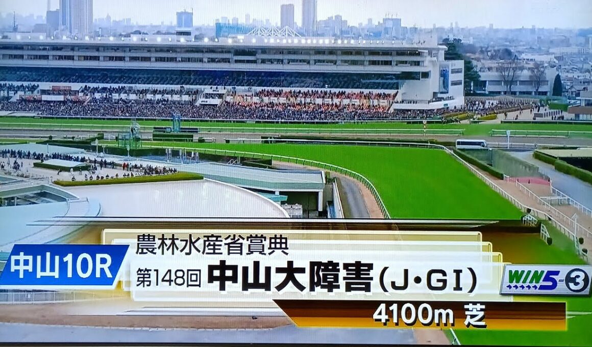 中山大障害の本馬場入場