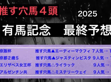 【競馬予想】　有馬記念　最終予想　2025