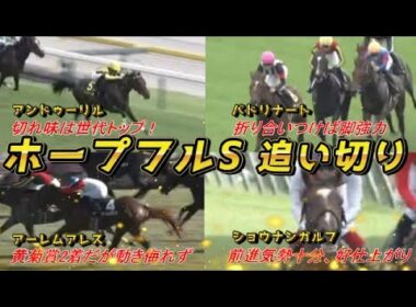 【ホープフルS2025 追い切り診断‼】26年のクラシック主役は！？＿　元馬術選手のコラム