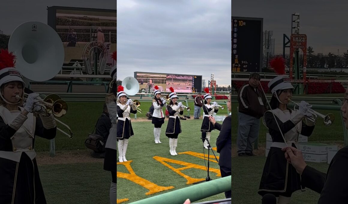 中山大障害生ファンファーレ #中山大障害 #エコロデュエル #shorts