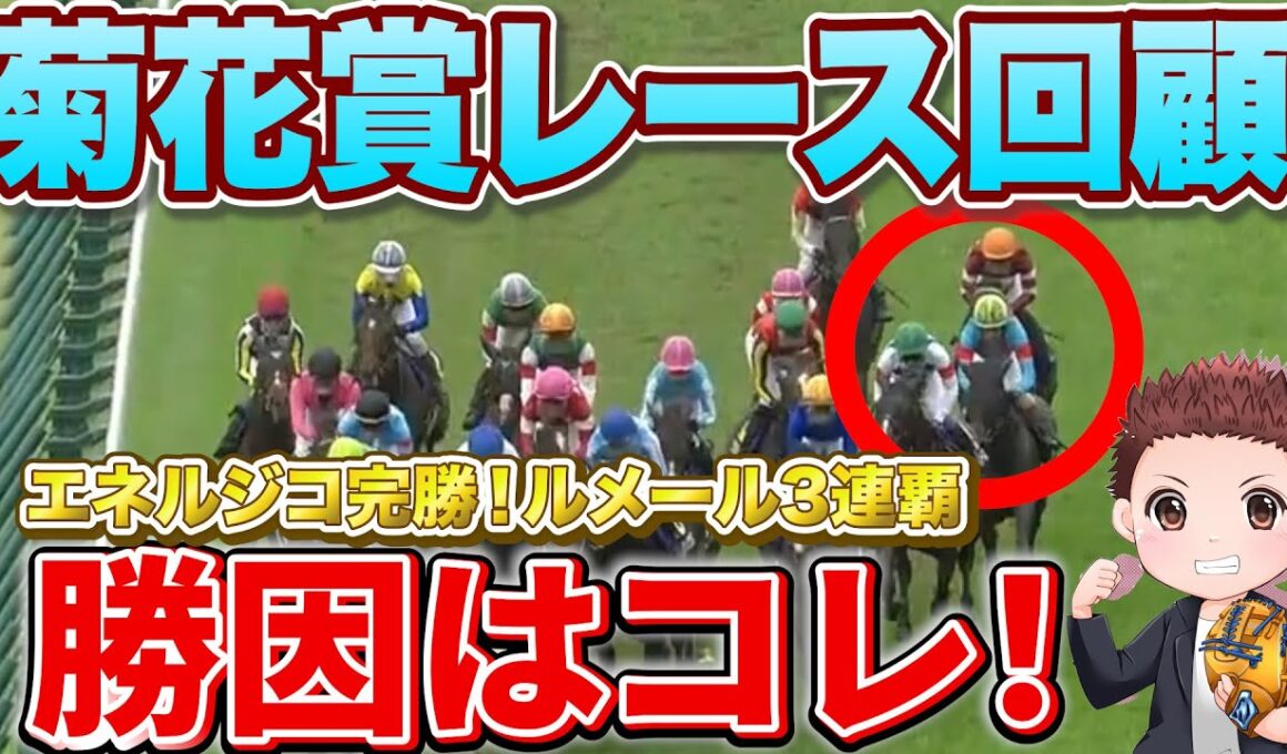 【菊花賞レース回顧】エネルジコ完勝！菊花賞3連覇！マイユニバースの敗因は？次走は絶対に買うな！#競馬 #秋華賞2025  #秋華賞