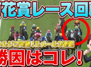 【菊花賞レース回顧】エネルジコ完勝！菊花賞3連覇！マイユニバースの敗因は？次走は絶対に買うな！#競馬 #秋華賞2025  #秋華賞