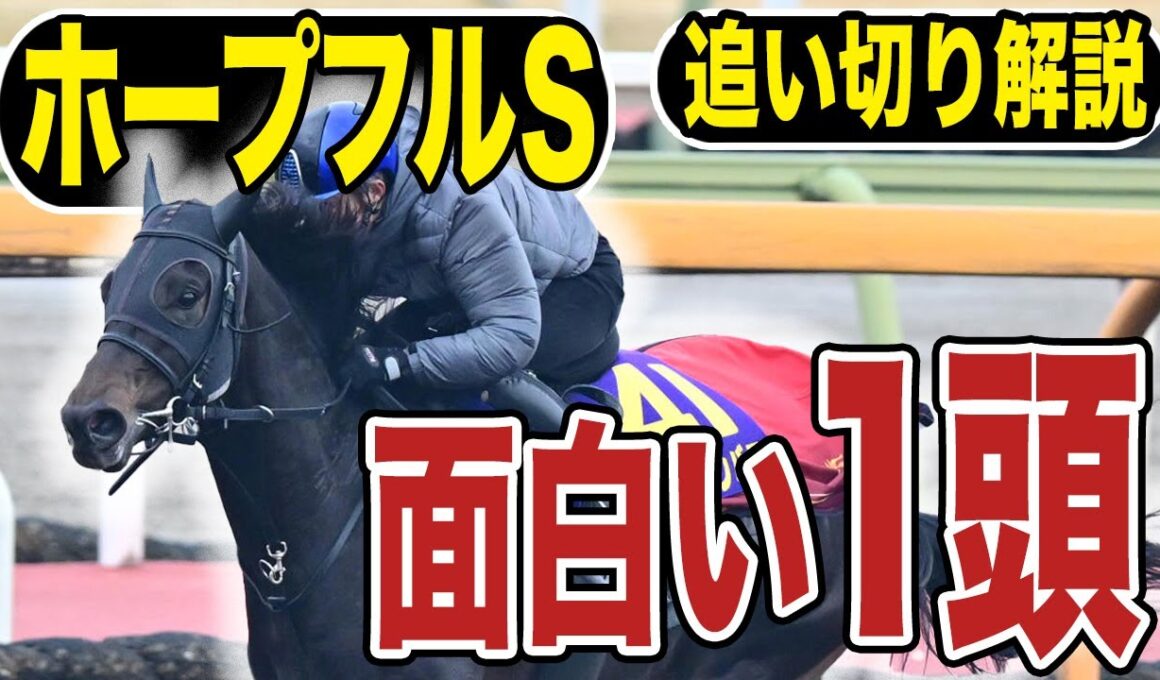 【ホープフルS２０２５】追い切り解説！各出走馬の追い切りを東西記者が徹底解説します！《東スポ競馬》