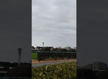 251227 中山大障害 大竹柵障害通過