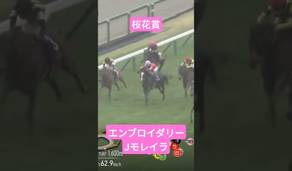 桜花賞勝ったのはエンブロイダリーJモレイラ #競馬