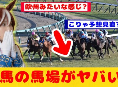 【競馬の反応集】有馬記念 馬場状態がヤバすぎ！が話題に！！【競馬】