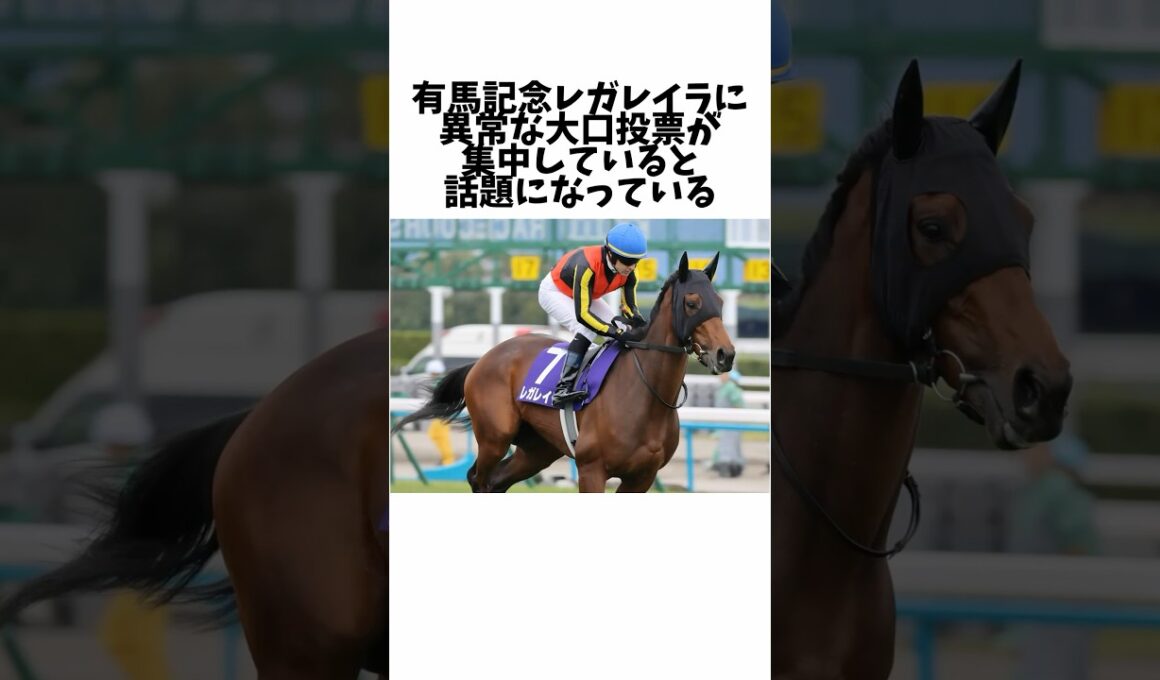 【有馬記念】レガレイラに異常な大口投票が集中していると話題になっている#競馬 #競馬予想 #競馬の反応集 #有馬記念 #レガレイラ