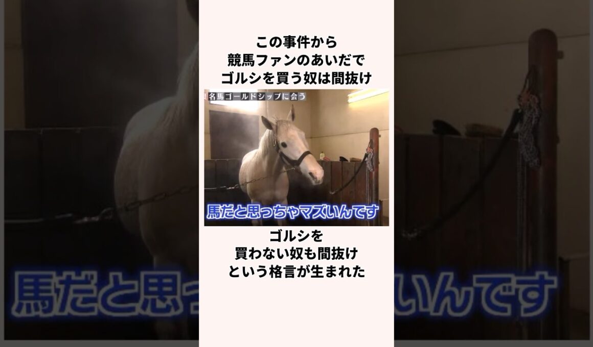 「120億円事件」ゴールドシップについての雑学