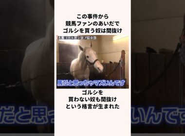 「120億円事件」ゴールドシップについての雑学