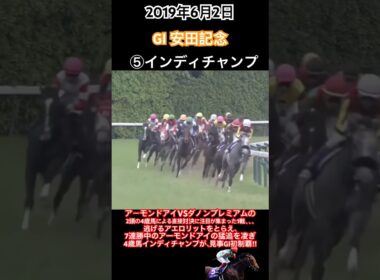 安田記念2019 逃げるアエロリットをとらえアーモンドアイの猛追を凌ぎ、インディチャンプと福永祐一が見事GⅠ初制覇‼︎#競馬#インディチャンプ#福永祐一#安田記念#shorts