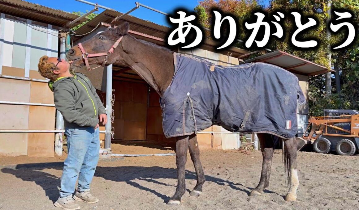 ありがとうございました。【ツルマルボーイ様のシモベ】