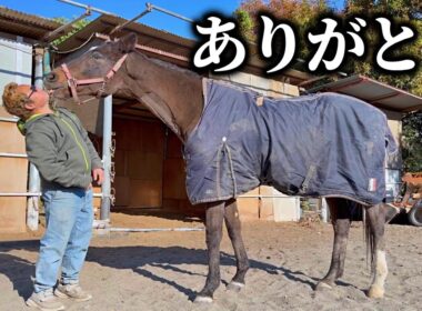 ありがとうございました。【ツルマルボーイ様のシモベ】