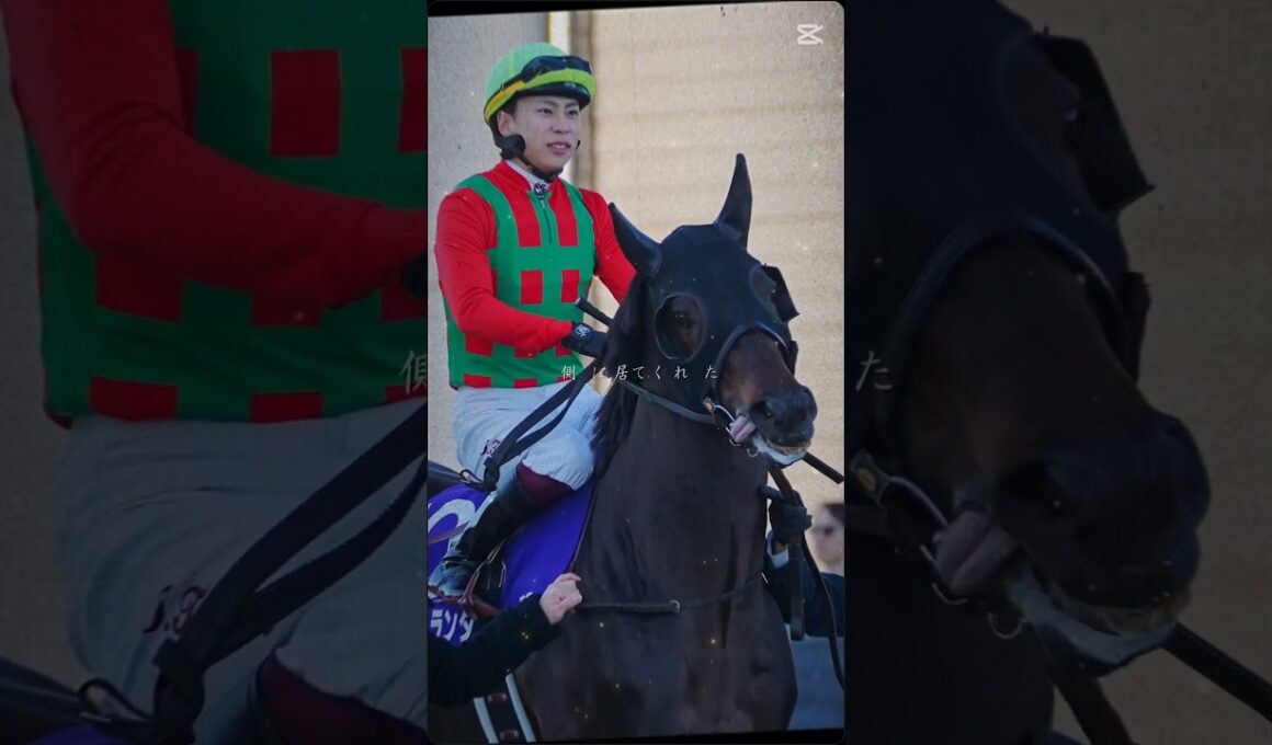 ありがとう【有馬記念2025】