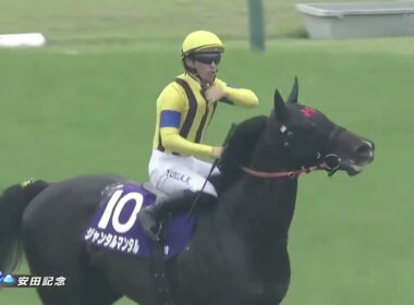 2025年 第75回 安田記念(G1)(ジャンタルマンタル、川田将雅)