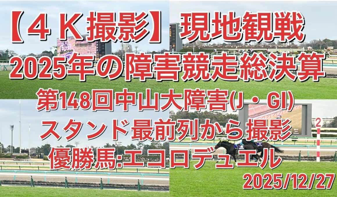 【４Ｋ撮影:現地】第148回中山大障害(J・GⅠ)優勝馬:エコロデュエル