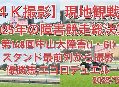 【４Ｋ撮影:現地】第148回中山大障害(J・GⅠ)優勝馬:エコロデュエル