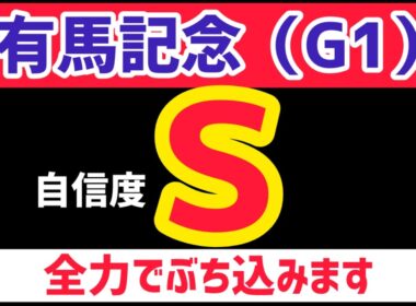 【有馬記念2025】メイショウタバルは買いません【競馬予想】