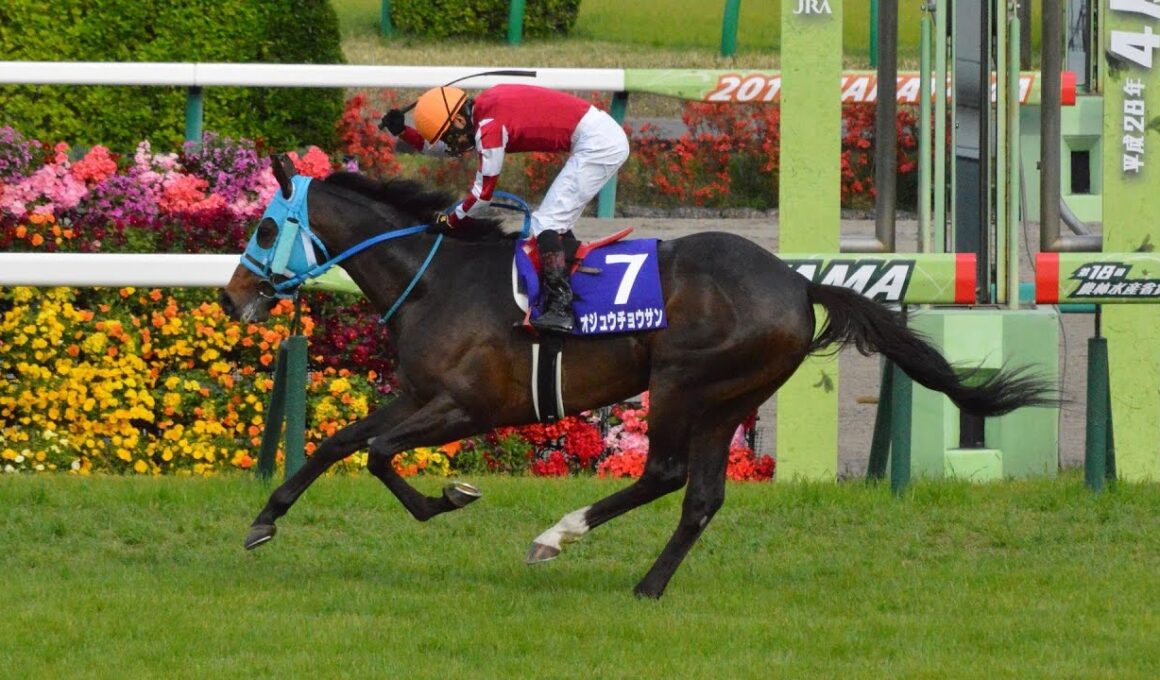 過去10年J・G I ダイジェスト（2015〜2025) 中山大障害.中山グランドジャンプ