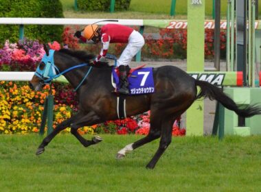 過去10年J・G I ダイジェスト（2015〜2025) 中山大障害.中山グランドジャンプ