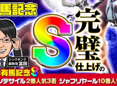 【有馬記念 2025 予想】勝負気配ダントツ！渾身の完璧仕上げで臨む調教評価Sはこの馬だ！【S評価連続好走中】