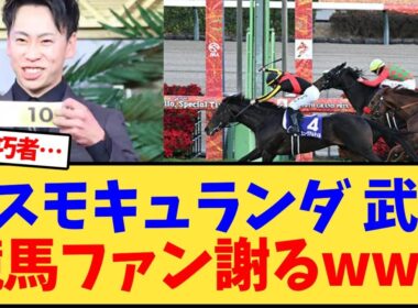 【有馬記念】コスモキュランダ 横山武史に競馬ファン謝るwww【競馬反応集】
