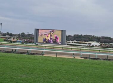 第148回中山大障害2025