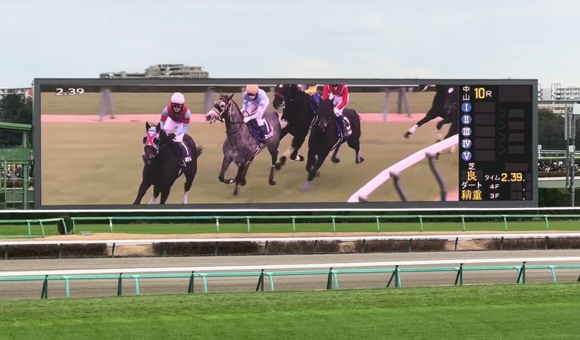 【中山大障害2025】エコロデュエル 現地