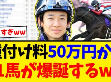 【ホープフルS】種付け料50万からG1馬爆誕！？勝ち上がり1頭で頂点に立ったワールドプレミアがヤバすぎる【競馬反応集】【2ch】