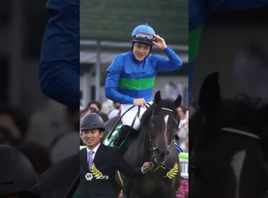 エキサイトバイオ 菊花賞をレコード勝ち #競馬 #菊花賞