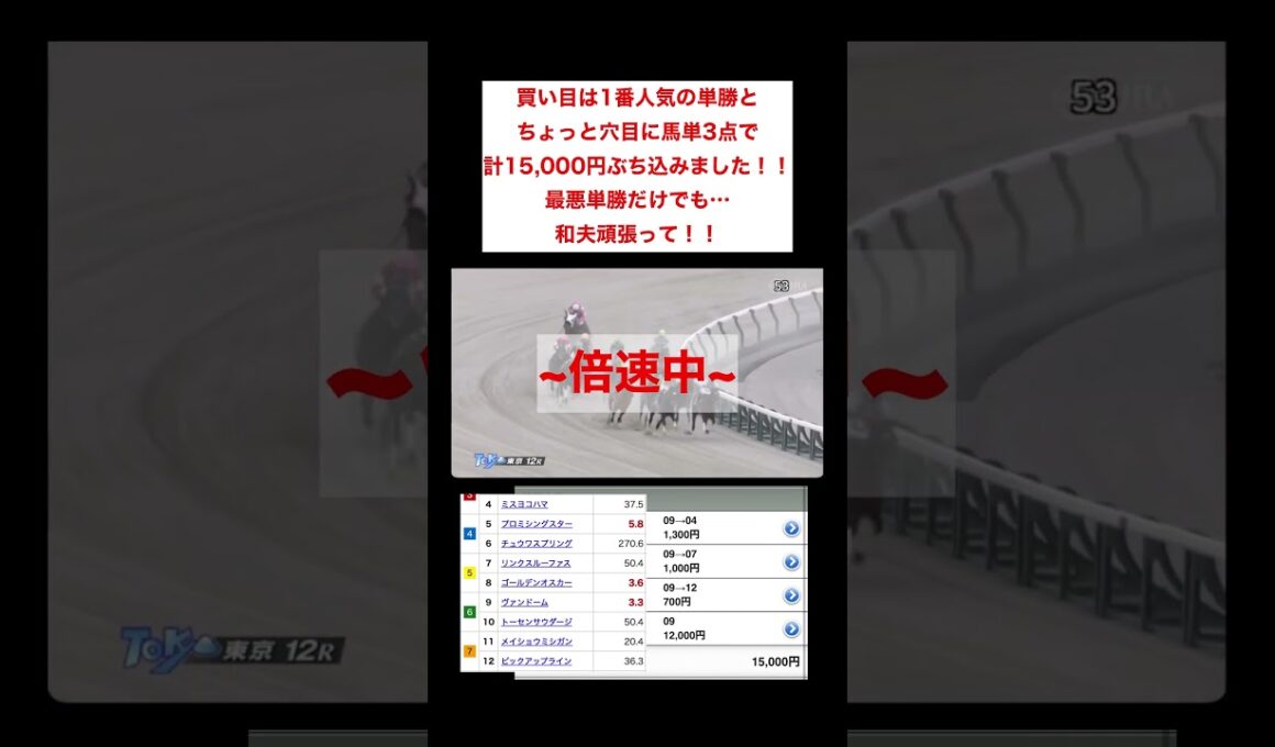 【競馬】フェブラリーステークスで負けた男の東京12R　#競馬 #冬競馬 #フェブラリーステークス