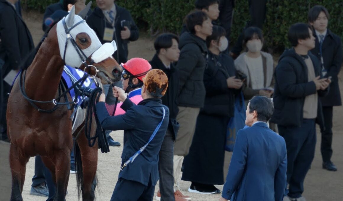 【武豊】有馬記念 レース後に真っ先にメイショウタバルの脚元をチェックする石橋師、師をじっとみつめるメイショウタバル