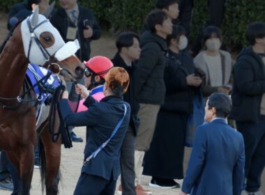 【武豊】有馬記念 レース後に真っ先にメイショウタバルの脚元をチェックする石橋師、師をじっとみつめるメイショウタバル