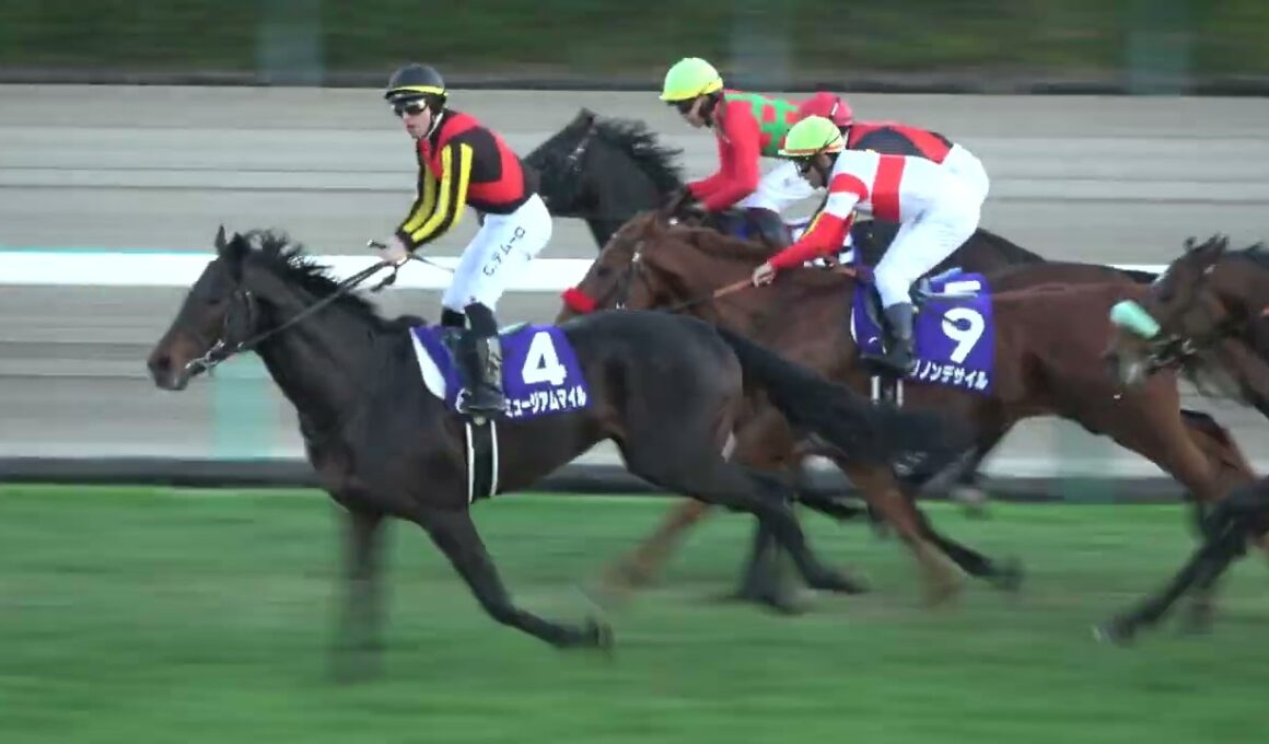 【有馬記念2025】 ミュージアムマイルが嬉しすぎてウイニングランで暴走気味になる‼ 現地映像