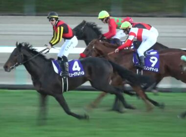 【有馬記念2025】 ミュージアムマイルが嬉しすぎてウイニングランで暴走気味になる‼ 現地映像