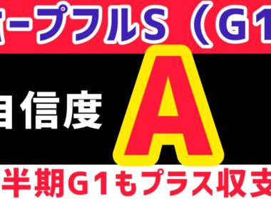【ホープフルステークス2025】ショウナンガルフは買いません【競馬予想】