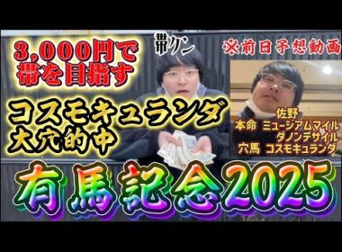 【有馬記念】3,000円で帯を目指す【大穴コスモキュランダ大的中】