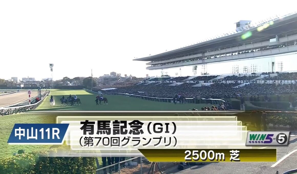 【本馬場入場】2025年12月28日 第70回 有馬記念(G1) ミュージアムマイル/C.デムーロ