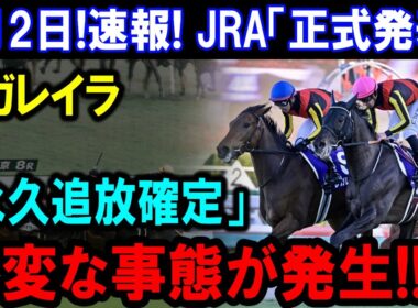 有馬記念の“登録問題”の直後に何が起きた？モンローウォーク突然の転厩、その裏側と競馬界がざわついた本当の理由とは…馬に罪はないこの騒動を整理する