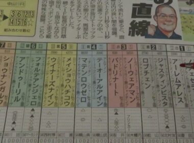 ホープフルS　競馬展望です。大穴狙いよ