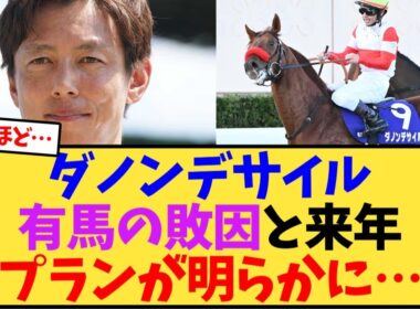 【有馬記念2025】ダノンデサイル、有馬記念の敗因と来年プランが明らかに…【競馬反応集】