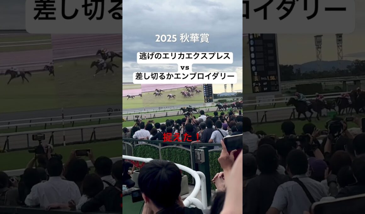 エンブロイダリー差し切り！エリカエクスプレス逃げ切れず 秋華賞2025 #競馬 #ルメール #武豊 #京都競馬場