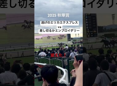 エンブロイダリー差し切り！エリカエクスプレス逃げ切れず 秋華賞2025 #競馬 #ルメール #武豊 #京都競馬場